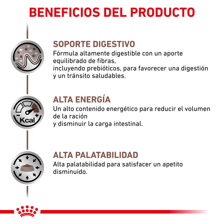 Comida húmeda para gatos Royal Canin Veterinary Diet Gastro Intestinal - Kompymascotas