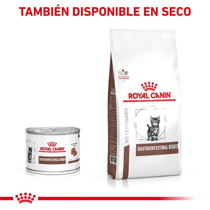 Royal Canin Gastro Intestinal Kitten Paté - Kompymascotas