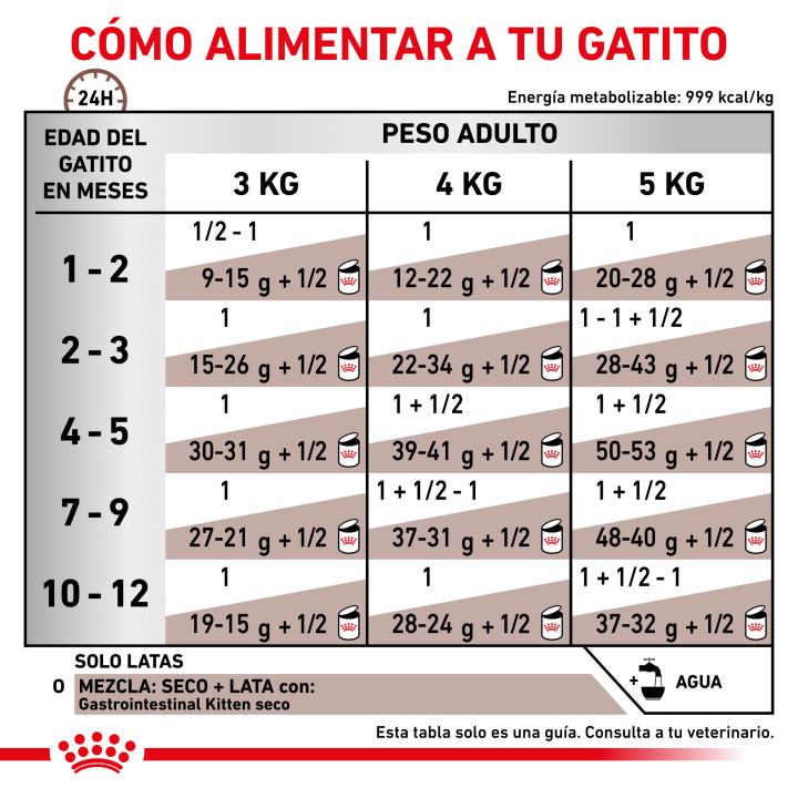 Royal Canin Gastro Intestinal Kitten Paté - Kompymascotas