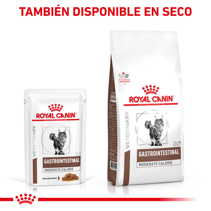 Comida húmeda para gatos Royal Canin Veterinary Diet Gastro Intestinal  - Kompymascotas