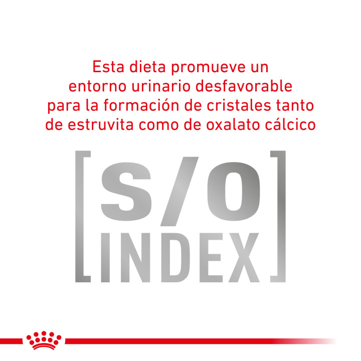 Comida húmeda para gatos Royal Canin Veterinary Diet Gastro Intestinal  - Kompymascotas