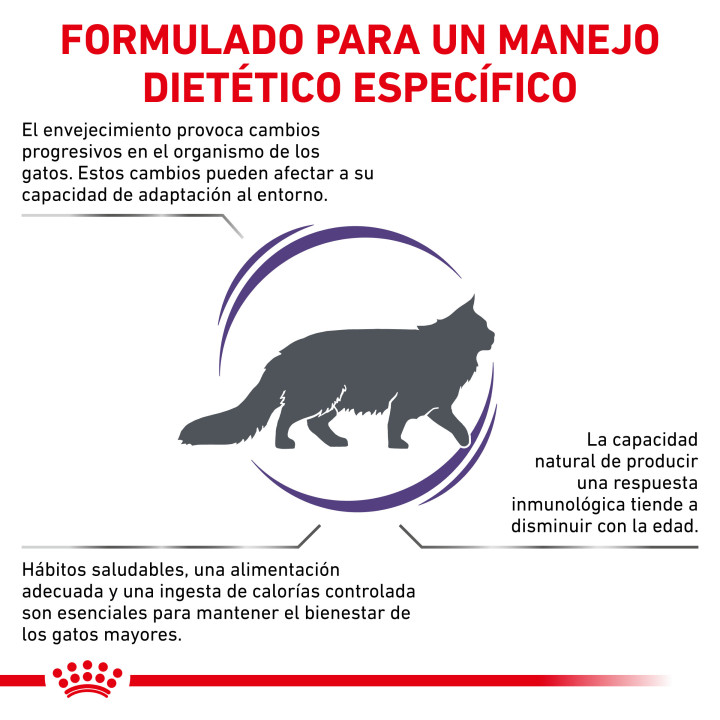 Royal Canin Vet Care Nutrition Senior Consult Stage 1, para gatos - Kompymascotas