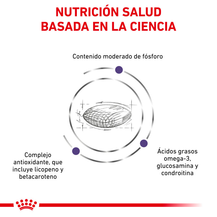 Royal Canin Vet Care Nutrition Senior Consult Stage 1, para gatos - Kompymascotas