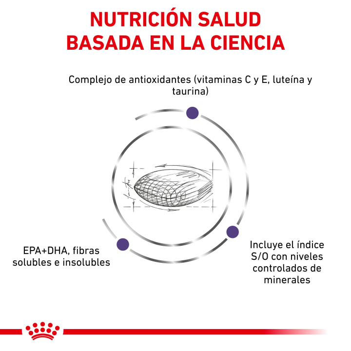 Royal Canin Vet Care Nutrition Adult, pienso para gatos - Kompymascotas