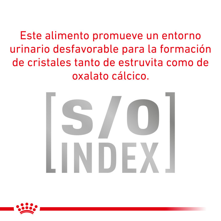 Royal Canin Veterinary Diet Calm, Pienso para gatos - Kompymascotas