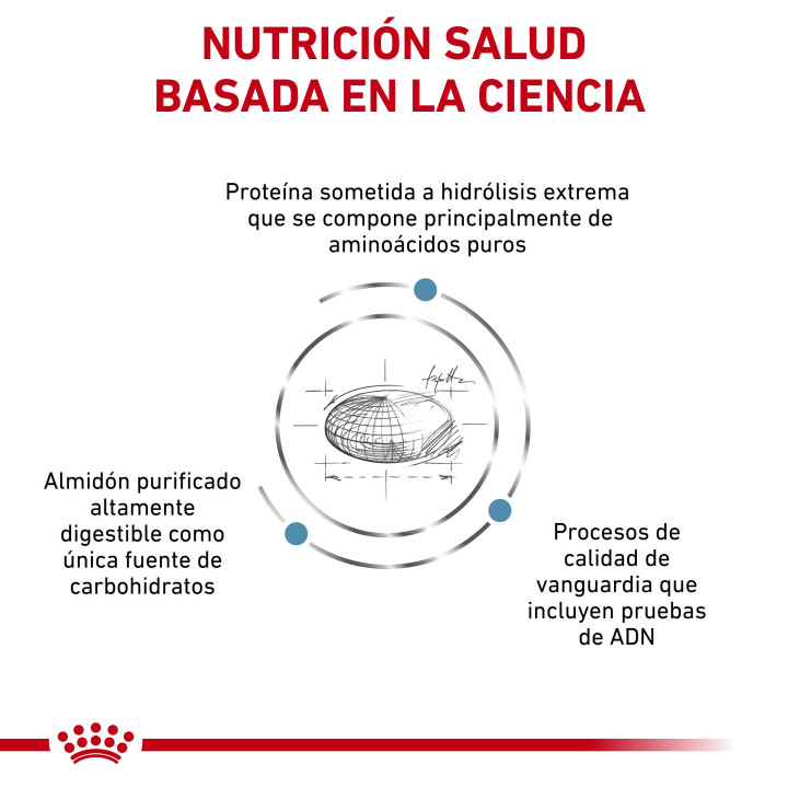 Royal Canin Anallergenic Pienso para perros - Kompymascotas