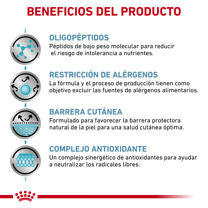 Royal Canin Anallergenic Pienso para perros - Kompymascotas
