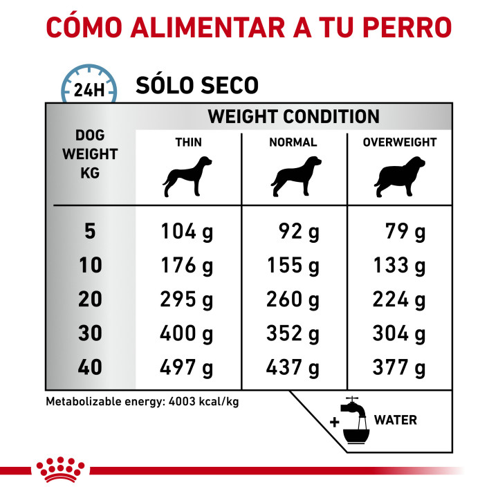 Royal Canin Anallergenic Pienso para perros - Kompymascotas