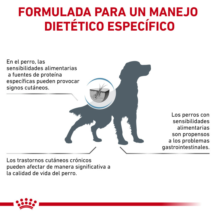 Royal Canin Anallergenic Pienso para perros - Kompymascotas