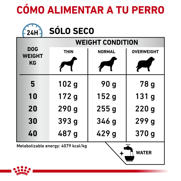 Royal Canin Hypoallergenic, pienso natural para perros - Kompymascotas