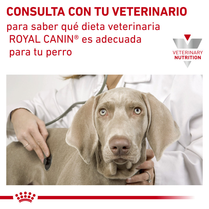 Royal Canin Hypoallergenic Moderate Calorie, pienso hipoalergénico - Kompymascotas