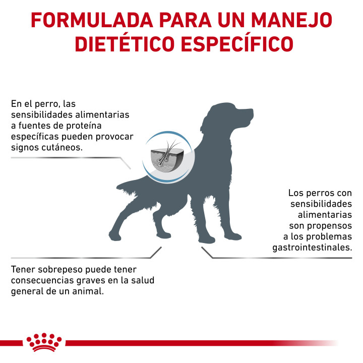 Royal Canin Hypoallergenic Moderate Calorie, pienso hipoalergénico - Kompymascotas