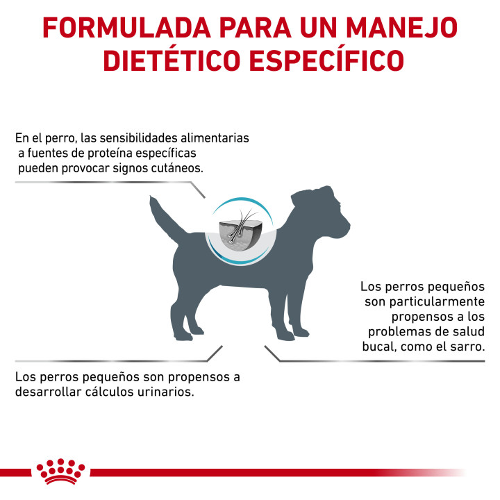 Royal Canin Hypoallergenic Small Dog, pienso natural para perros - Kompymascotas