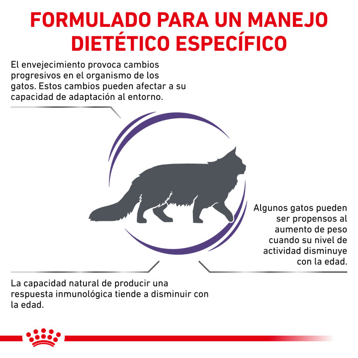 Royal Canin Mature Consult Balance - Kompymascotas