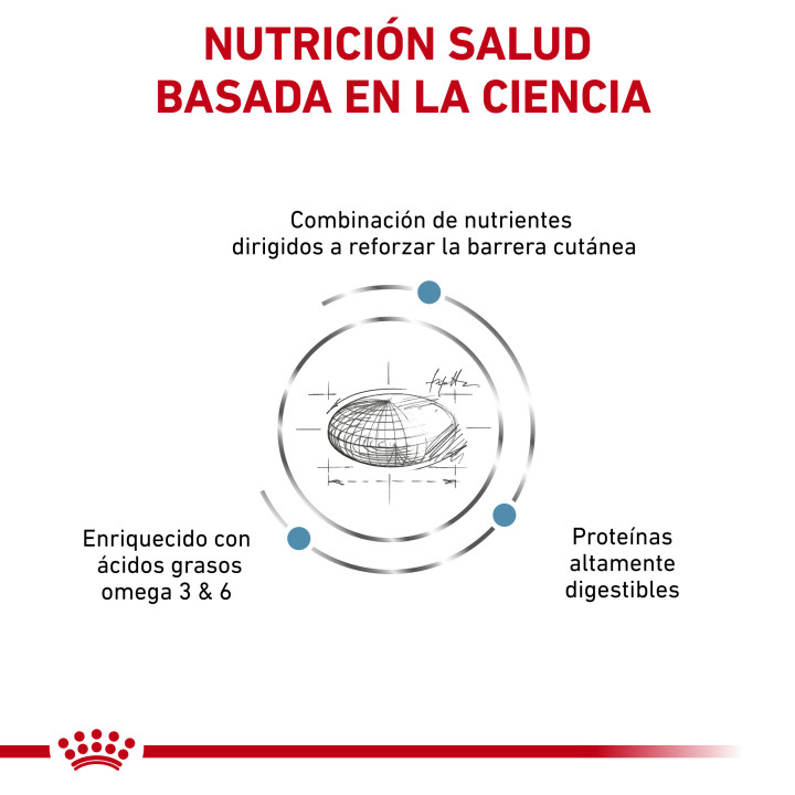 Pienso Royal Canin Skin Care - Kompymascotas