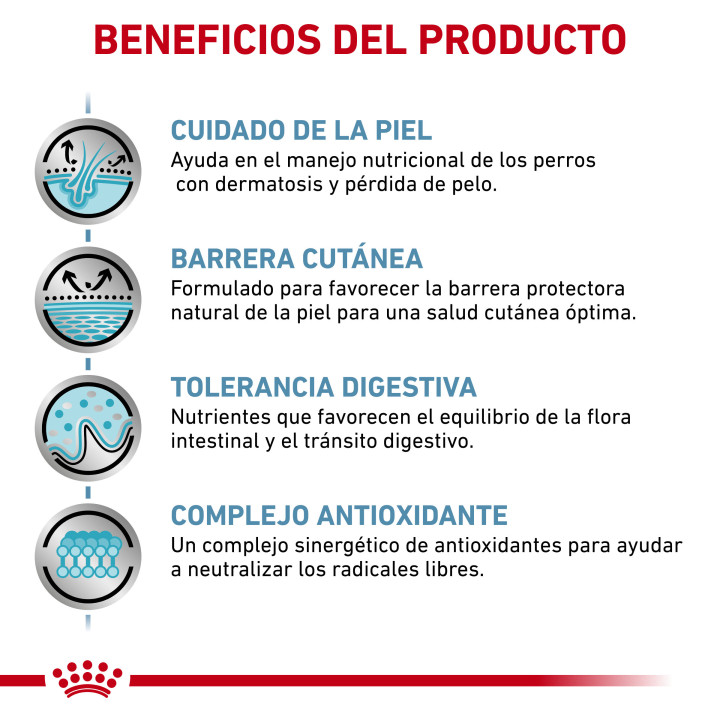 Pienso Royal Canin Skin Care - Kompymascotas