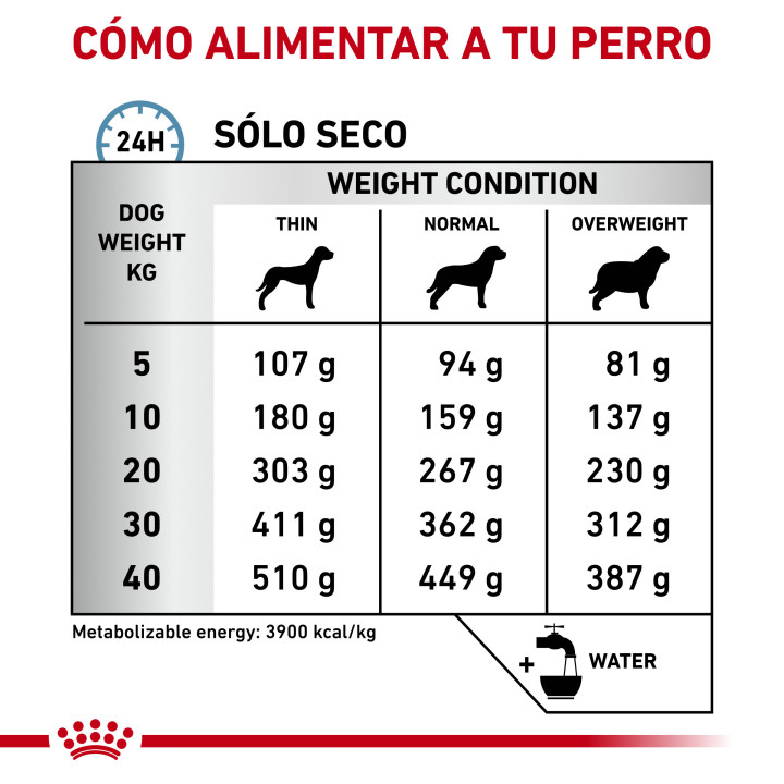 Pienso Royal Canin Skin Care - Kompymascotas