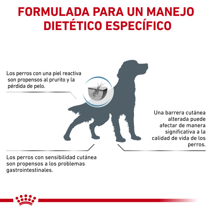 Pienso Royal Canin Skin Care - Kompymascotas