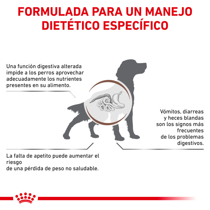 Pienso para perros Royal Canin Gastro Intestinal - Kompymascotas
