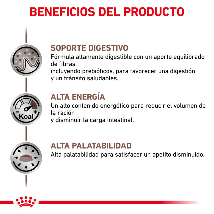 Pienso para perros Royal Canin Gastro Intestinal - Kompymascotas