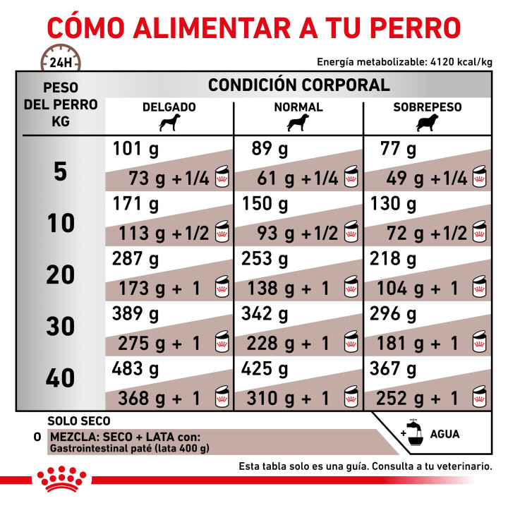 Pienso para perros Royal Canin Gastro Intestinal - Kompymascotas