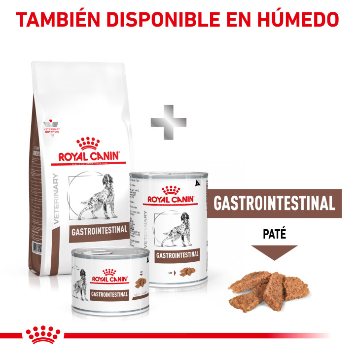 Pienso para perros Royal Canin Gastro Intestinal - Kompymascotas