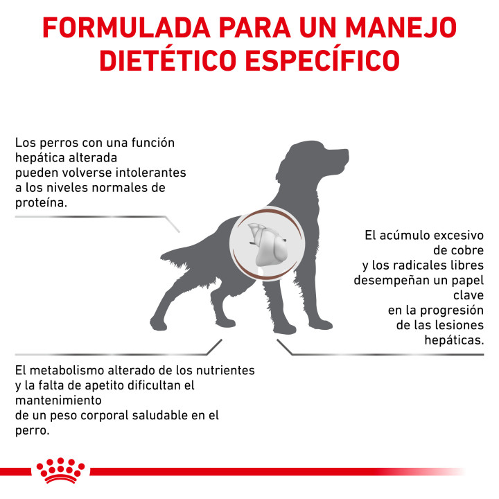 Royal Canin Hepatic, pienso para perros - Kompymascotas