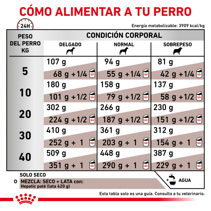 Royal Canin Hepatic, pienso para perros - Kompymascotas