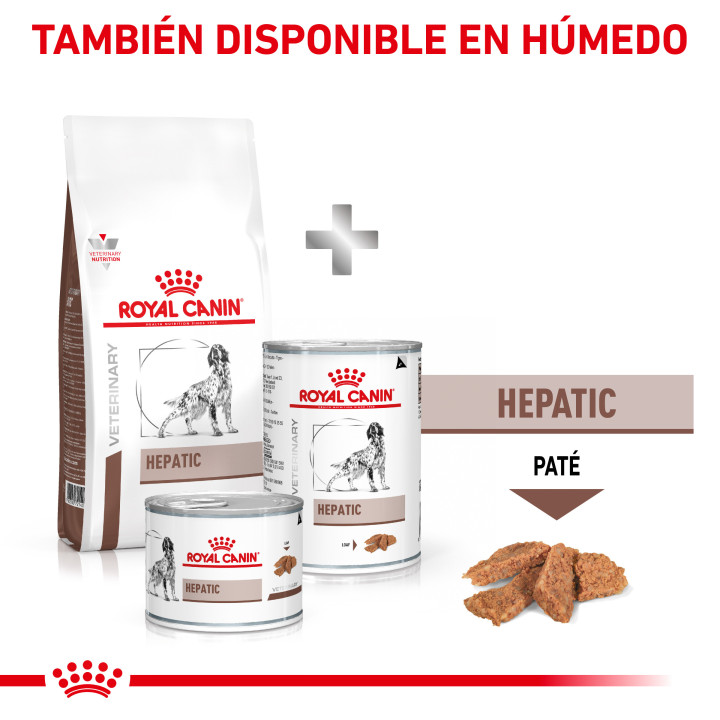 Royal Canin Hepatic, pienso para perros - Kompymascotas