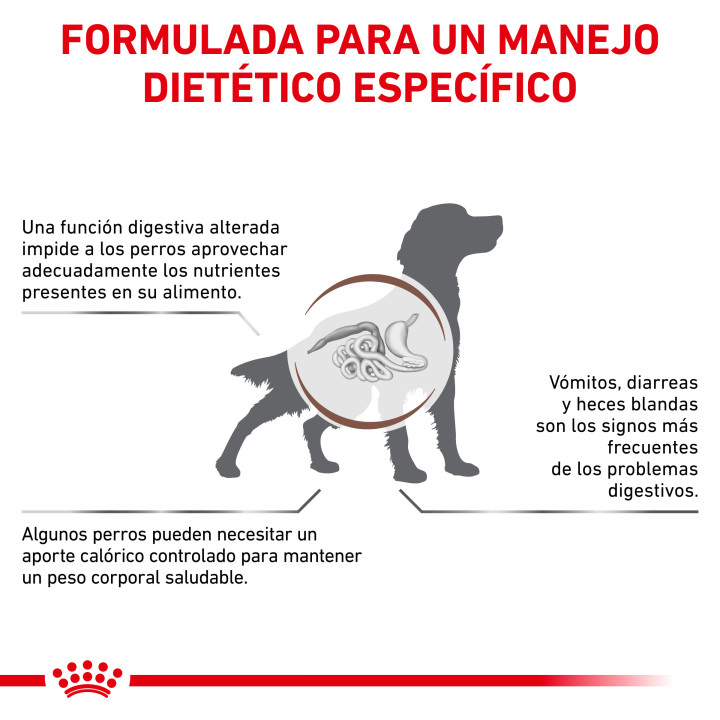 Pienso Royal Canin Gastro Intestinal Moderate Calorie - Kompymascotas