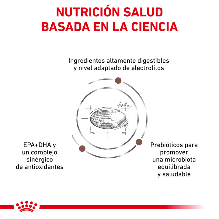Pienso Royal Canin Gastro Intestinal Moderate Calorie - Kompymascotas