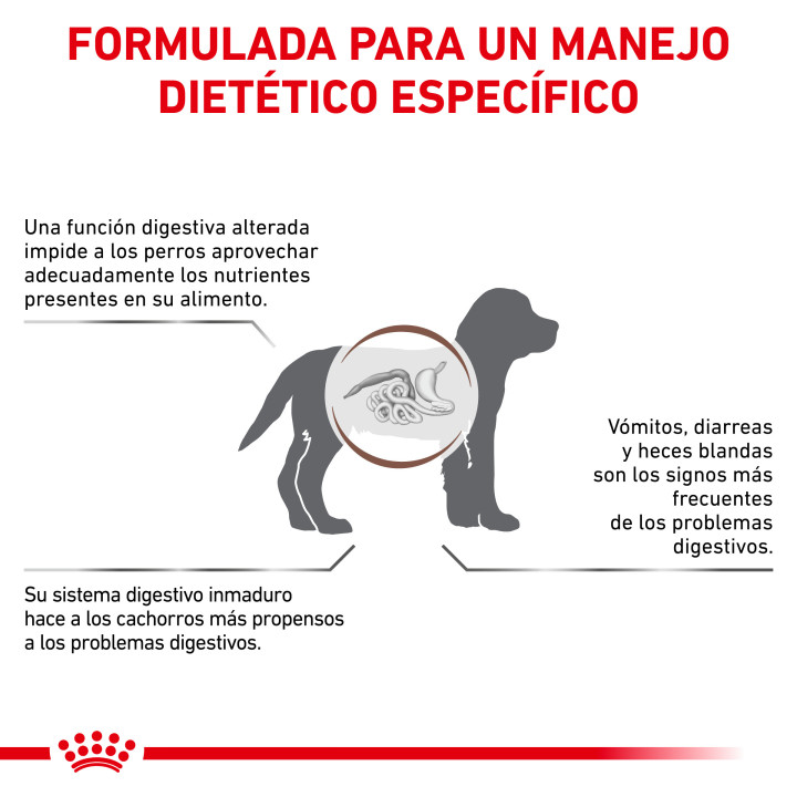 Pienso Royal Canin Gastro Intestinal Junior - Kompymascotas