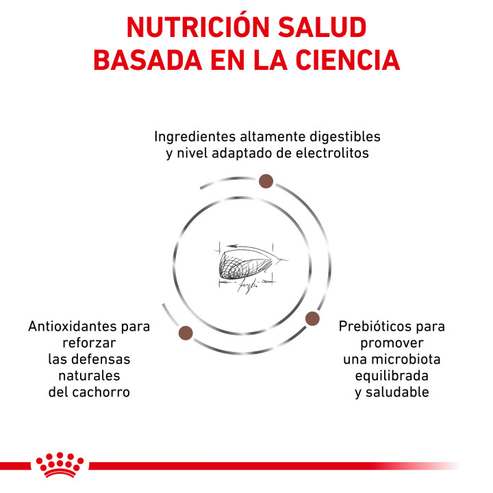 Pienso Royal Canin Gastro Intestinal Junior - Kompymascotas