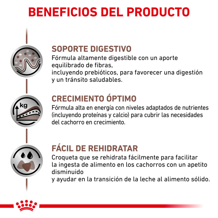 Pienso Royal Canin Gastro Intestinal Junior - Kompymascotas