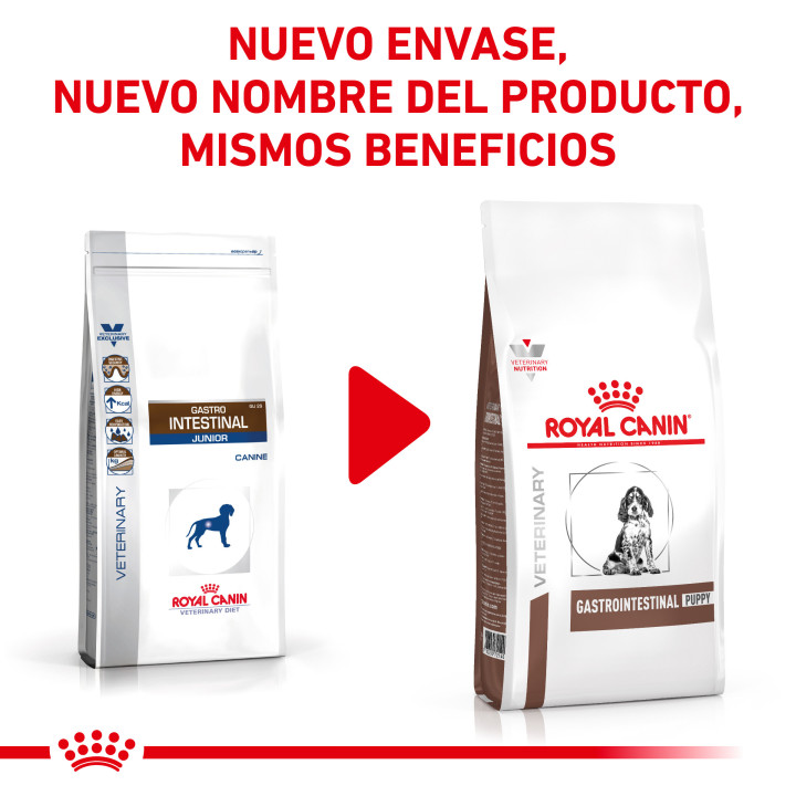 Pienso Royal Canin Gastro Intestinal Junior - Kompymascotas