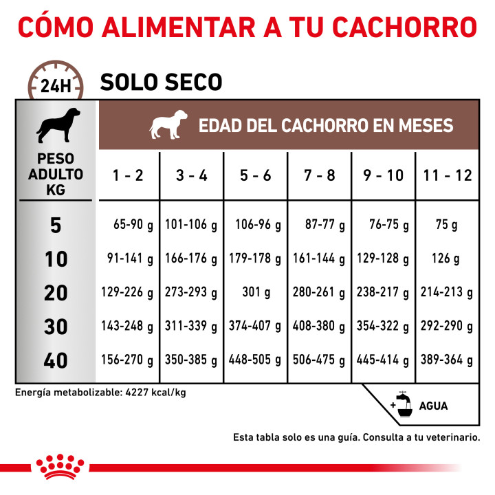 Pienso Royal Canin Gastro Intestinal Junior - Kompymascotas