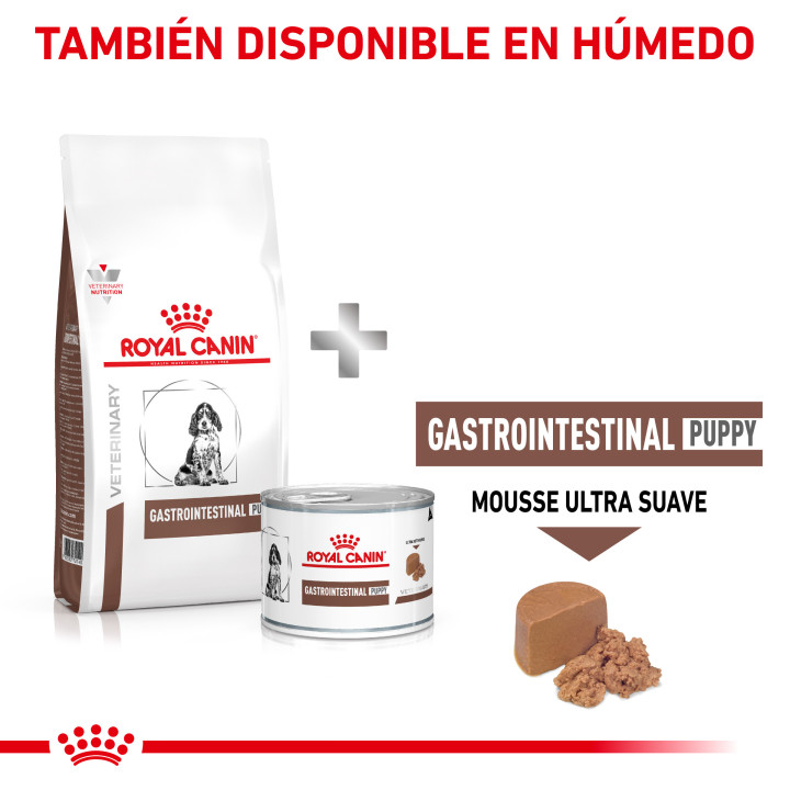 Pienso Royal Canin Gastro Intestinal Junior - Kompymascotas