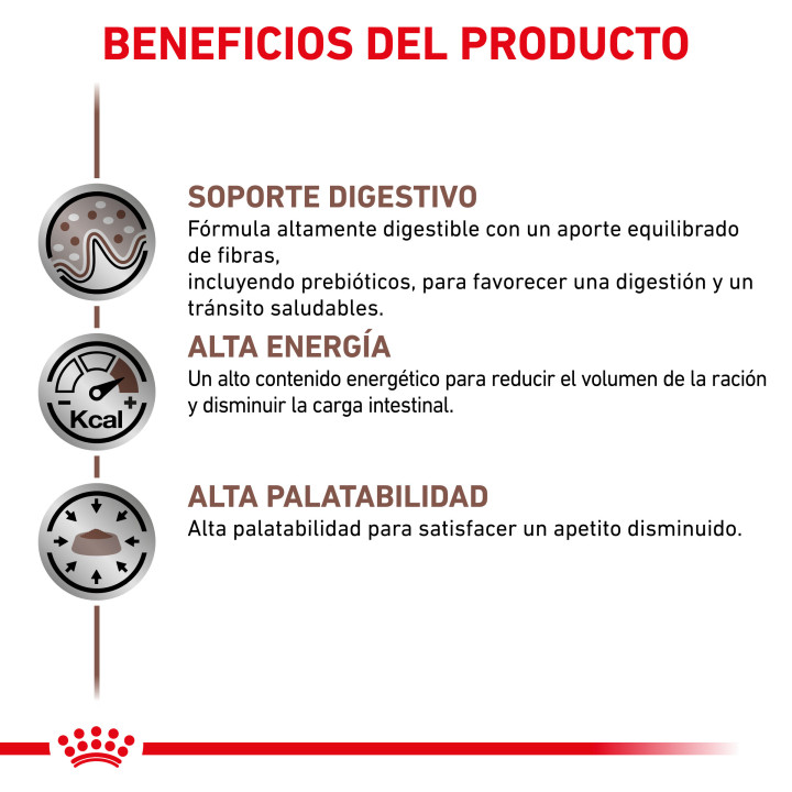 Latas para perros Royal Canin Gastro Intestinal, comida húmeda - Kompymascotas