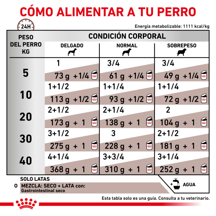 Latas para perros Royal Canin Gastro Intestinal, comida húmeda - Kompymascotas