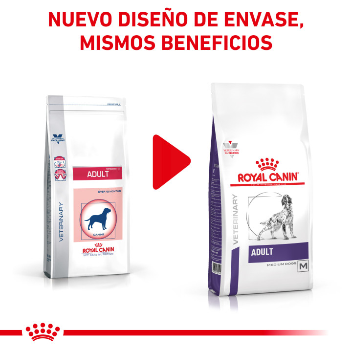 Royal Canin Adult, pienso para perros adultos - Kompymascotas