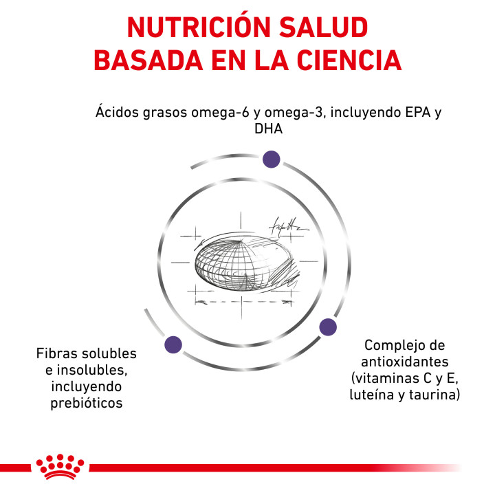 Royal Canin Adult, pienso para perros adultos - Kompymascotas