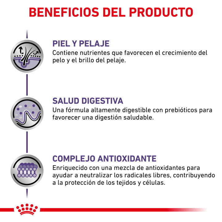 Royal Canin Adult, pienso para perros adultos - Kompymascotas