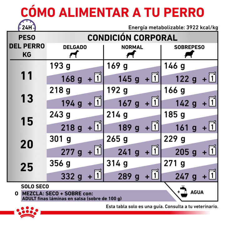 Royal Canin Adult, pienso para perros adultos - Kompymascotas