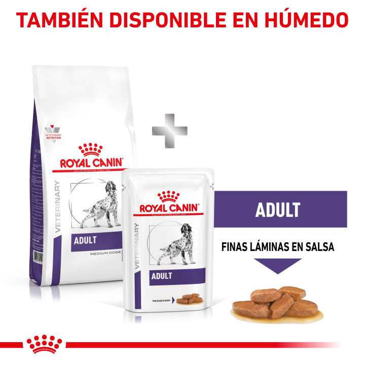 Royal Canin Adult, pienso para perros adultos - Kompymascotas