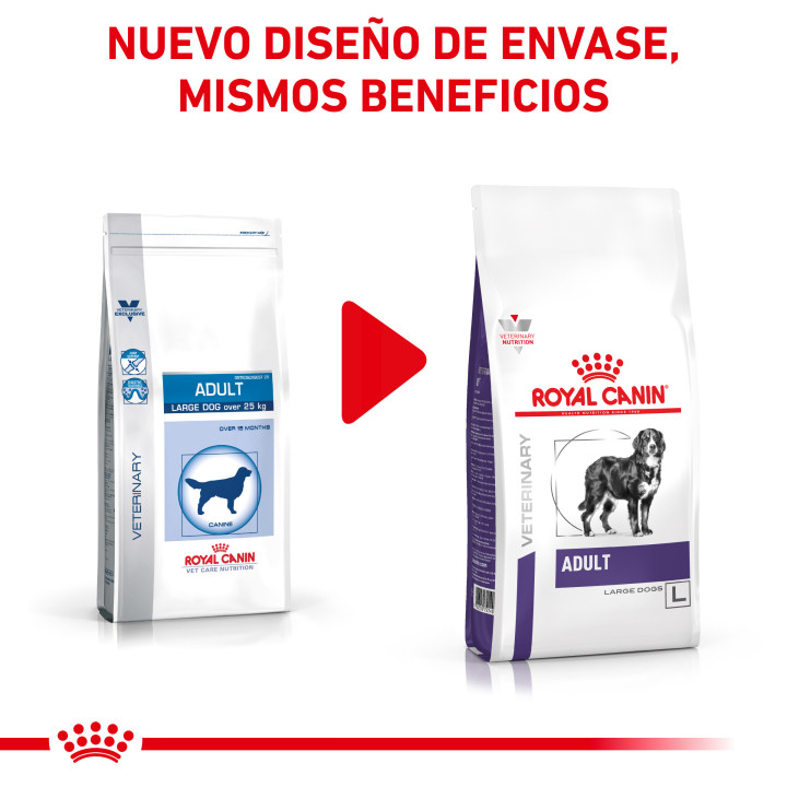 Royal Canin Adult Large Dog, pienso para perros - Kompymascotas