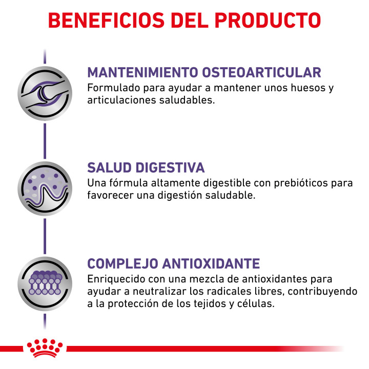 Royal Canin Adult Large Dog, pienso para perros - Kompymascotas