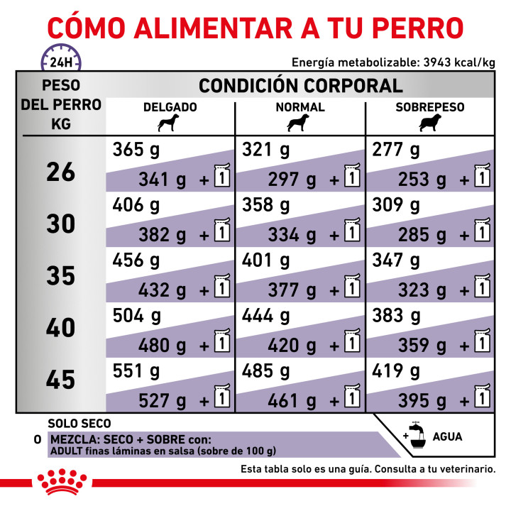 Royal Canin Adult Large Dog, pienso para perros - Kompymascotas