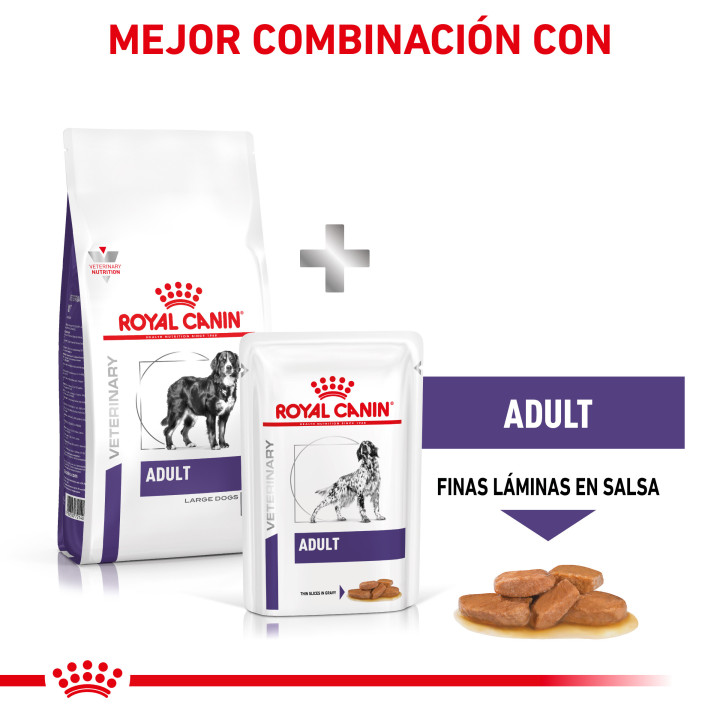 Royal Canin Adult Large Dog, pienso para perros - Kompymascotas