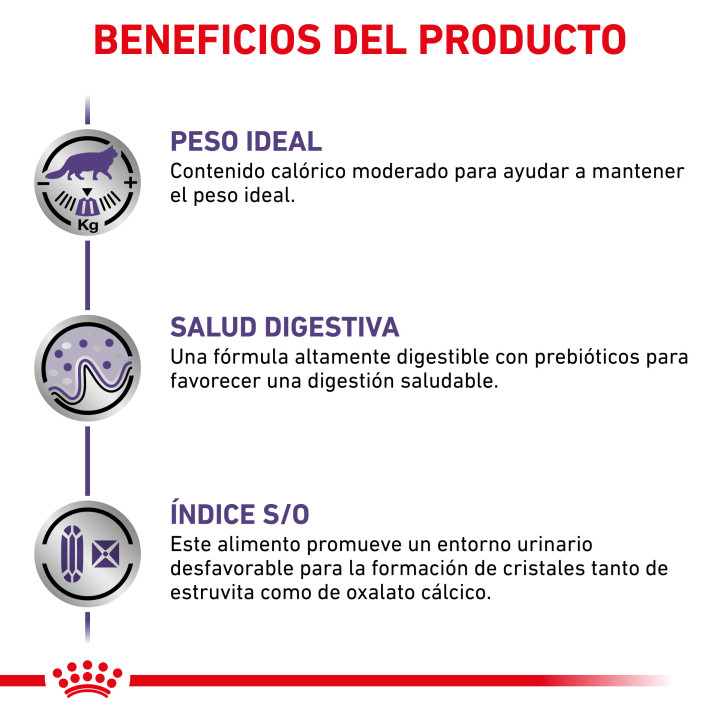 Comida húmeda para gatos Royal Canin Neutered Weight Balance - Kompymascotas