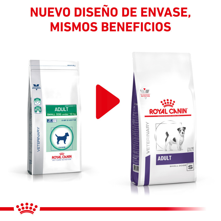 Royal Canin Adult Small Dog, pienso para perros - Kompymascotas